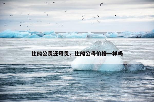 比熊公贵还母贵，比熊公母价格一样吗
