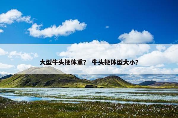 大型牛头梗体重？ 牛头梗体型大小？