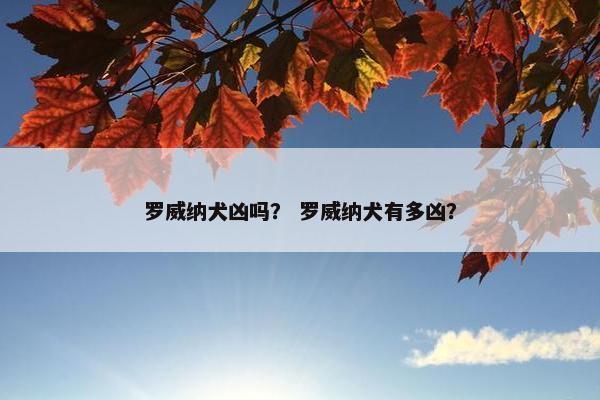 罗威纳犬凶吗？ 罗威纳犬有多凶？