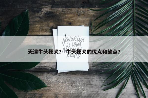 天津牛头梗犬？ 牛头梗犬的优点和缺点？