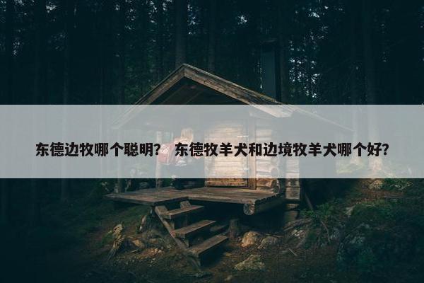 东德边牧哪个聪明？ 东德牧羊犬和边境牧羊犬哪个好？