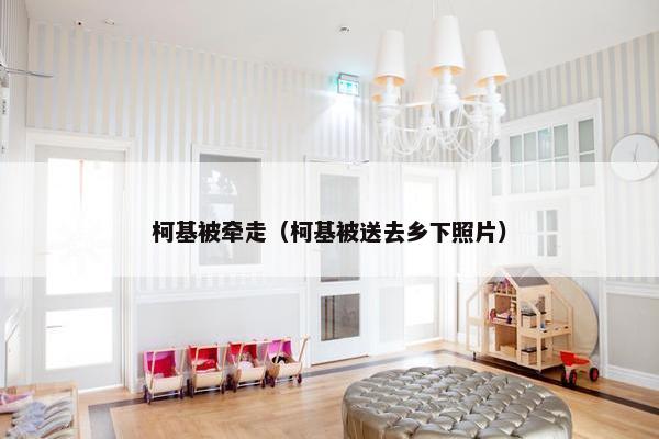 柯基被牵走（柯基被送去乡下照片）