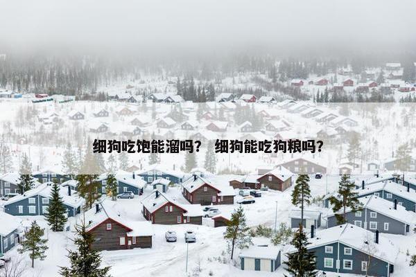 细狗吃饱能溜吗？ 细狗能吃狗粮吗？
