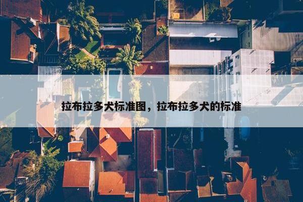 拉布拉多犬标准图，拉布拉多犬的标准