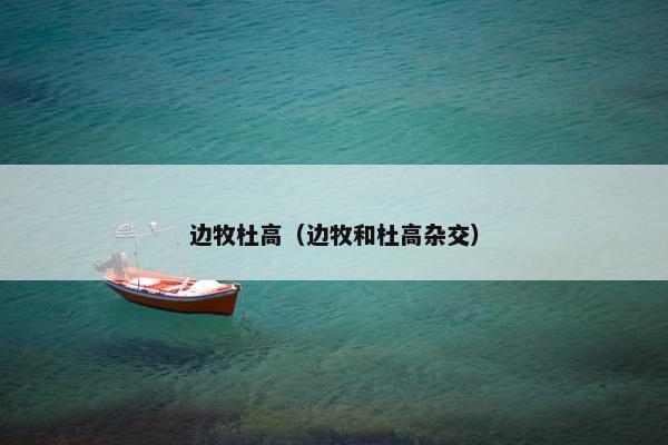 边牧杜高（边牧和杜高杂交）