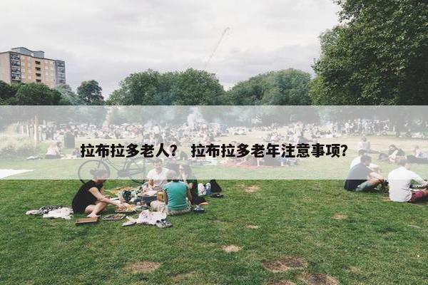 拉布拉多老人？ 拉布拉多老年注意事项？