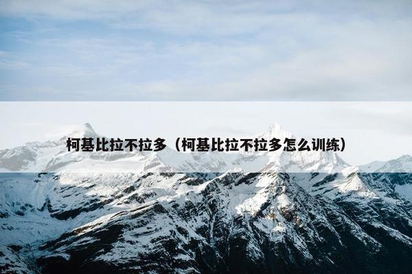 柯基比拉不拉多（柯基比拉不拉多怎么训练）