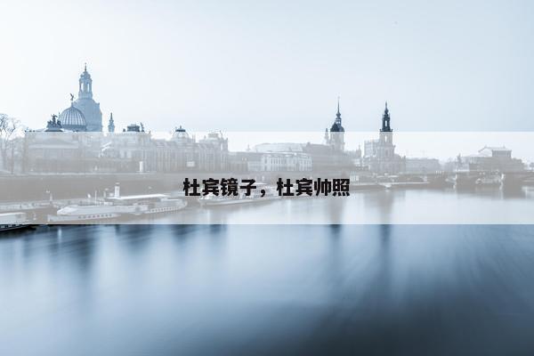 杜宾镜子，杜宾帅照