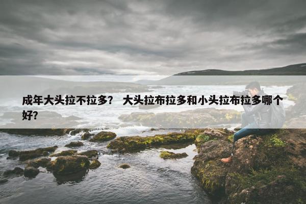 成年大头拉不拉多？ 大头拉布拉多和小头拉布拉多哪个好？