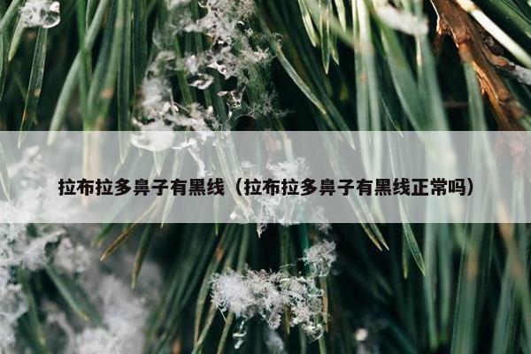 拉布拉多鼻子有黑线（拉布拉多鼻子有黑线正常吗）