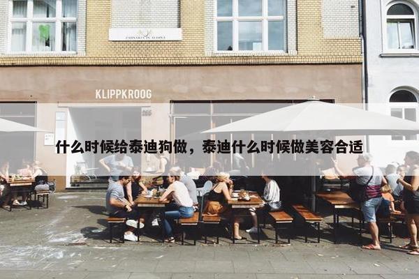 什么时候给泰迪狗做，泰迪什么时候做美容合适