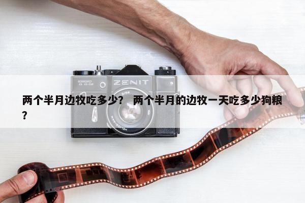 两个半月边牧吃多少？ 两个半月的边牧一天吃多少狗粮？