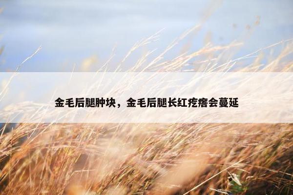 金毛后腿肿块，金毛后腿长红疙瘩会蔓延