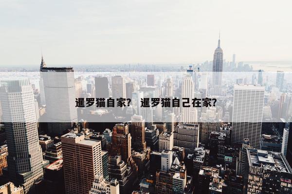 暹罗猫自家？ 暹罗猫自己在家？