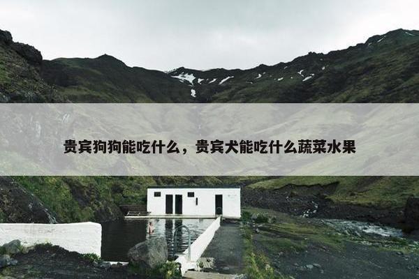 贵宾狗狗能吃什么，贵宾犬能吃什么蔬菜水果