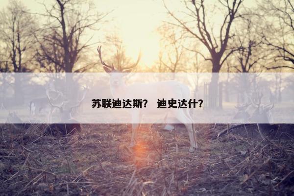 苏联迪达斯？ 迪史达什？