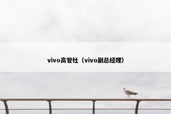 vivo高管杜（vivo副总经理）