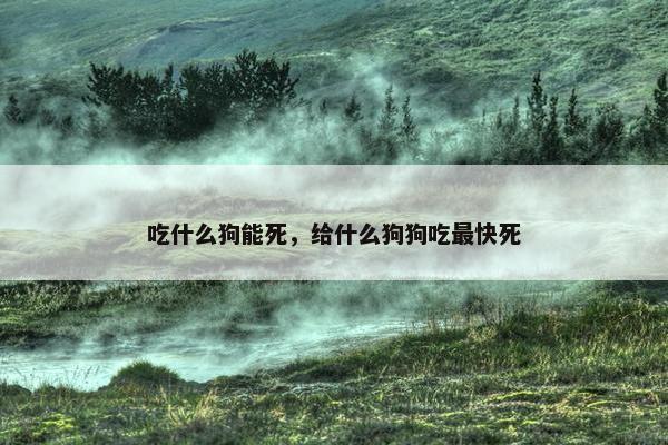 吃什么狗能死，给什么狗狗吃最快死