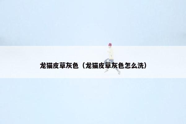 龙猫皮草灰色（龙猫皮草灰色怎么洗）