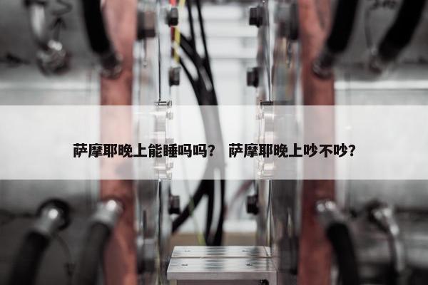 萨摩耶晚上能睡吗吗？ 萨摩耶晚上吵不吵？