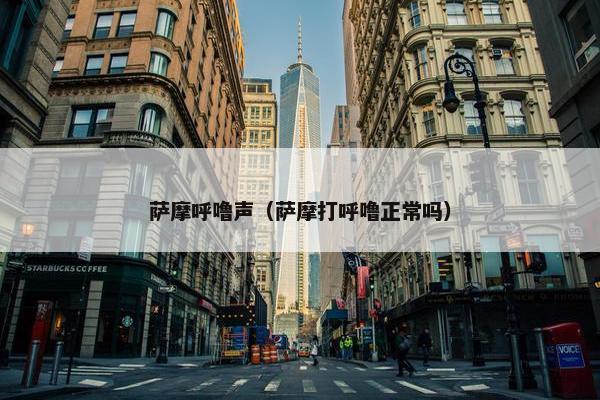 萨摩呼噜声(萨摩打呼噜正常吗) 萨摩呼噜声(萨摩打呼噜正常吗)