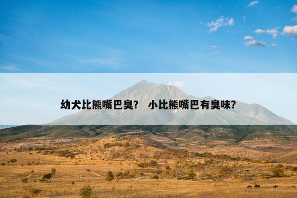 幼犬比熊嘴巴臭？ 小比熊嘴巴有臭味？