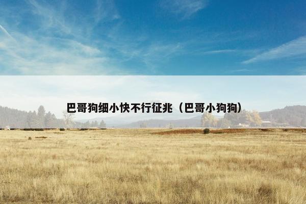 巴哥狗细小快不行征兆（巴哥小狗狗）