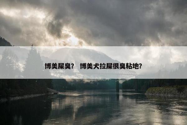 博美屎臭？ 博美犬拉屎很臭粘地？