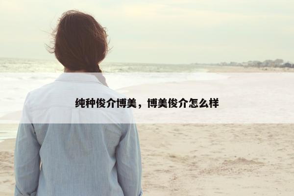 纯种俊介博美，博美俊介怎么样