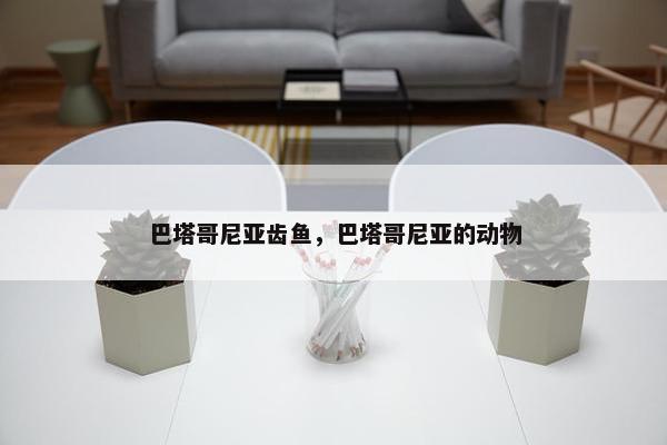 巴塔哥尼亚齿鱼，巴塔哥尼亚的动物