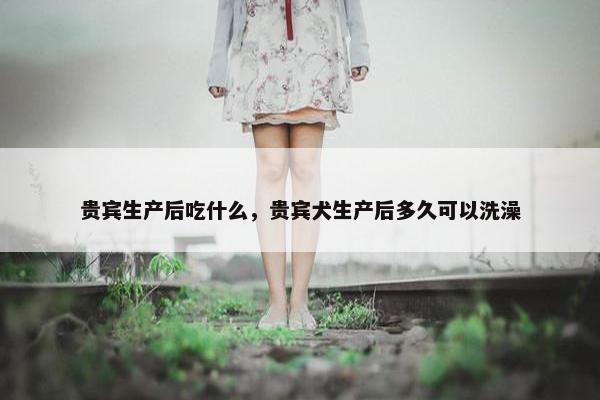 贵宾生产后吃什么，贵宾犬生产后多久可以洗澡