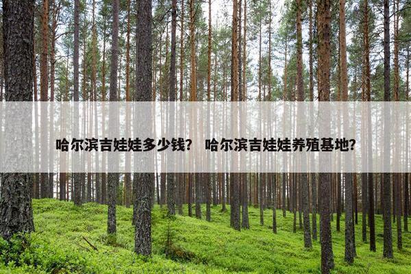 哈尔滨吉娃娃多少钱？ 哈尔滨吉娃娃养殖基地？