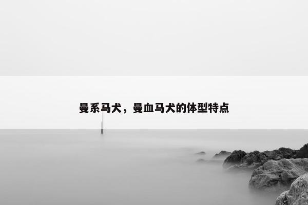 曼系马犬，曼血马犬的体型特点