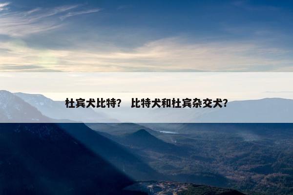杜宾犬比特？ 比特犬和杜宾杂交犬？