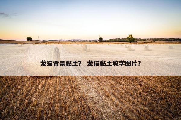 龙猫背景黏土？ 龙猫黏土教学图片？
