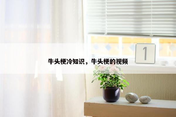牛头梗冷知识，牛头梗的视频