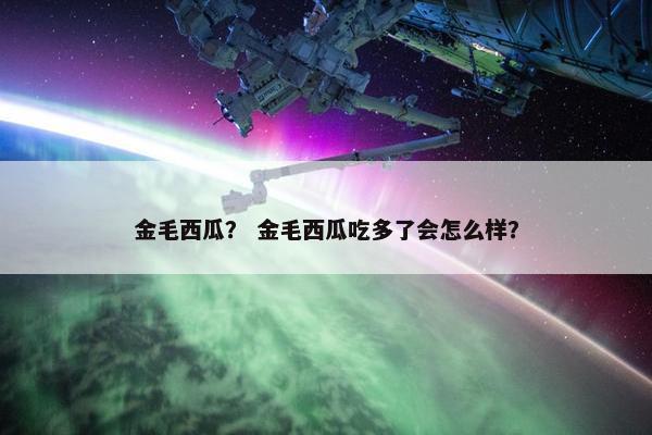 金毛西瓜? 金毛西瓜吃多了会怎么样? 金毛西瓜? 金毛西瓜吃多了会怎么样?