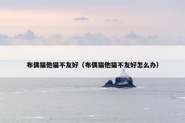 布偶猫他猫不友好（布偶猫他猫不友好怎么办）