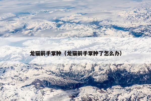 龙猫前手掌肿（龙猫前手掌肿了怎么办）