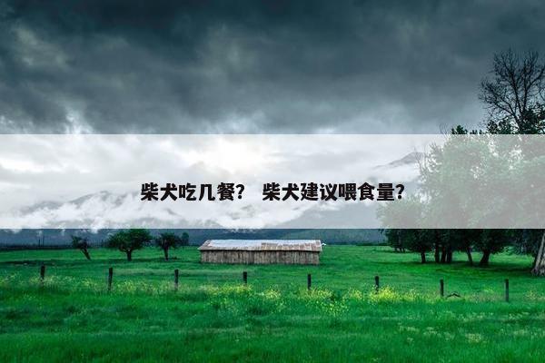 柴犬吃几餐？ 柴犬建议喂食量？
