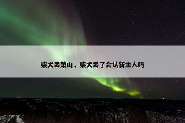 柴犬丢萧山，柴犬丢了会认新主人吗