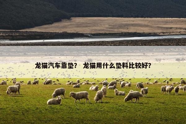 龙猫汽车靠垫？ 龙猫用什么垫料比较好？
