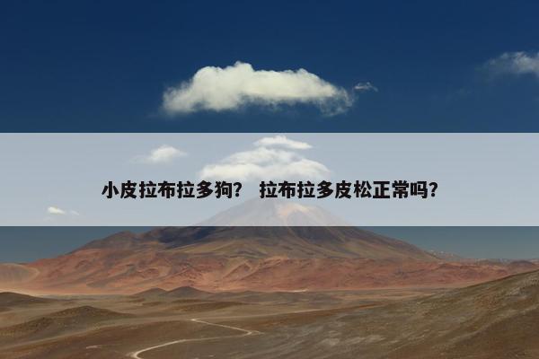 小皮拉布拉多狗？ 拉布拉多皮松正常吗？