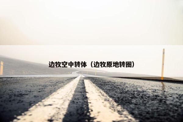 边牧空中转体(边牧原地转圈) 边牧空中转体(边牧原地转圈)