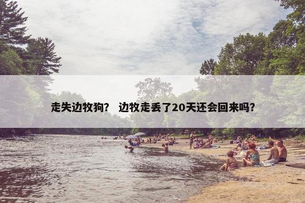 走失边牧狗？ 边牧走丢了20天还会回来吗？