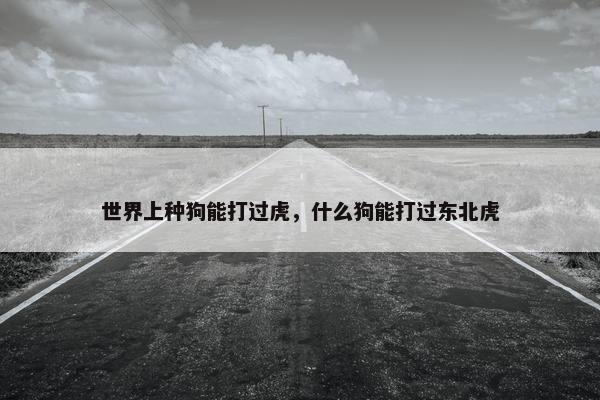 世界上种狗能打过虎，什么狗能打过东北虎