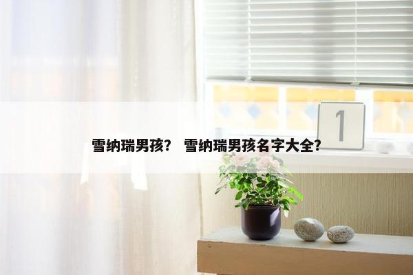 雪纳瑞男孩？ 雪纳瑞男孩名字大全？
