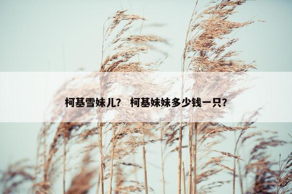 柯基雪妹儿？ 柯基妹妹多少钱一只？