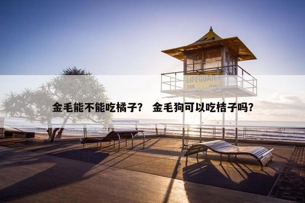 金毛能不能吃橘子？ 金毛狗可以吃桔子吗？