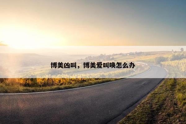 博美凶叫，博美爱叫唤怎么办